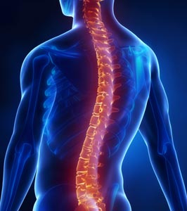 X-ray Showing Pain in Spine